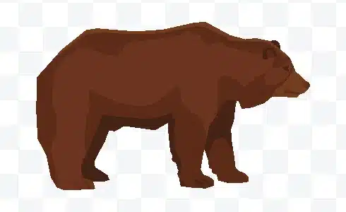 bear vector illustration free download