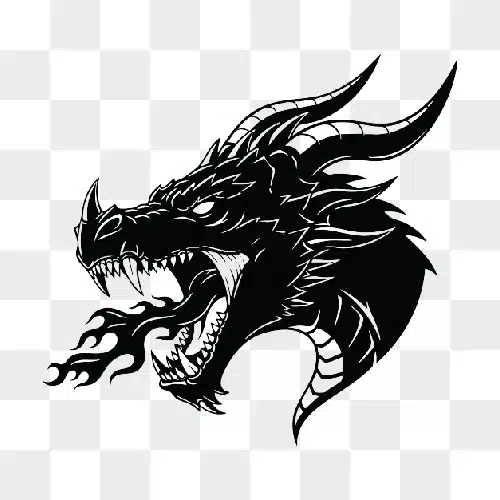 black dragon head with fire illustration