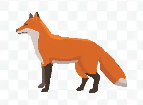 fox vector illustration free download