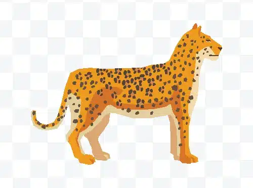 leopard vector clipart free download