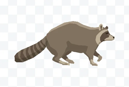 raccoon vector clipart free download