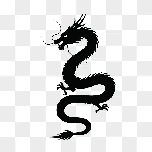 silhouette of a chinese dragon in black