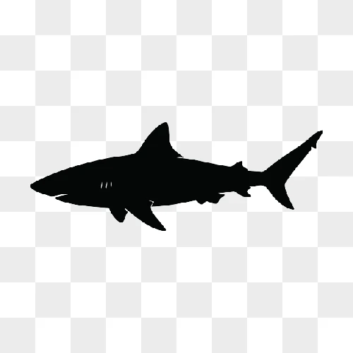 silhouette of a great white shark swimming in the ocean