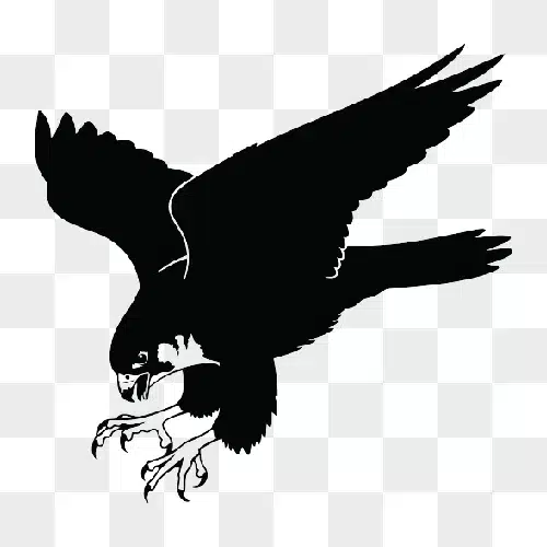 silhouette of a falcon in flight with talons extended