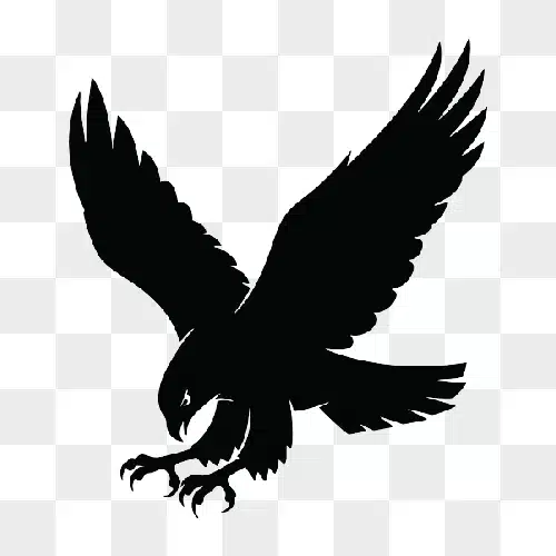 silhouette of a hawk in flight with wings spread wide