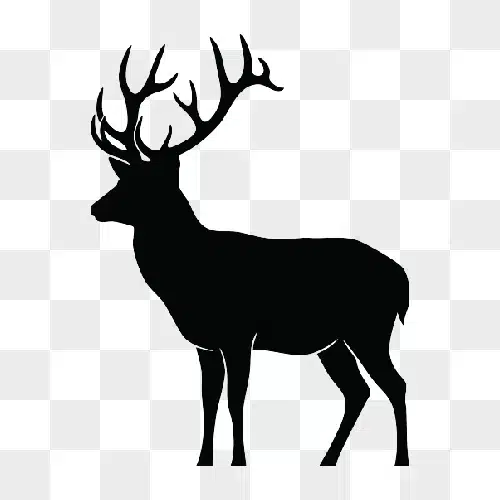 silhouette of a majestic stag with large antlers standing proudly