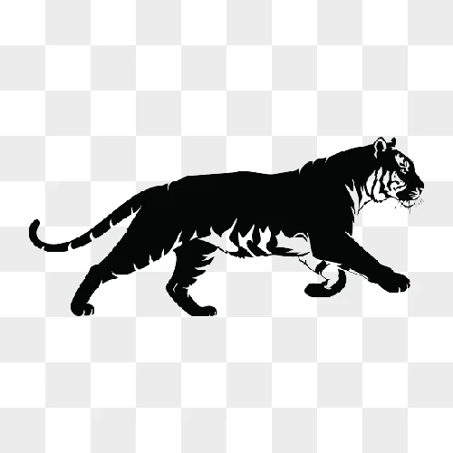 silhouette of a majestic tiger walking with its tail extended