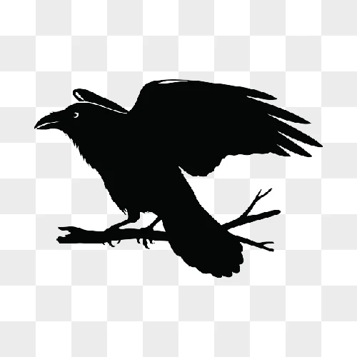 silhouette of a raven perched on a branch with wings spread