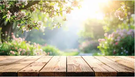 spring garden wooden table sunlight