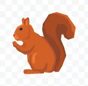 squirrel vector illustration free download