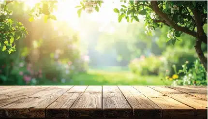 wooden table in a sunlit garden