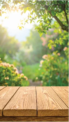 wooden table with a beautiful blurred garden background in sunlight