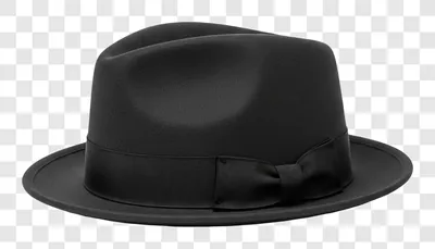 a classic black fedora hat with a ribbon band edited