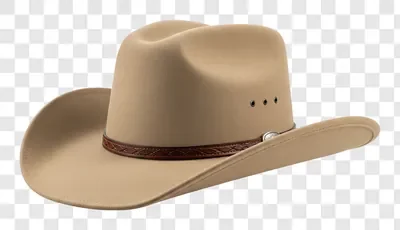 A Classic Tan Cowboy Hat With a Brown Leather Band and Eyelets,cowboy hat,tan hat,brown leather band,topi koboi,gambar topi,unduh gratis,free download,image download,resources,free images,gambar gratis