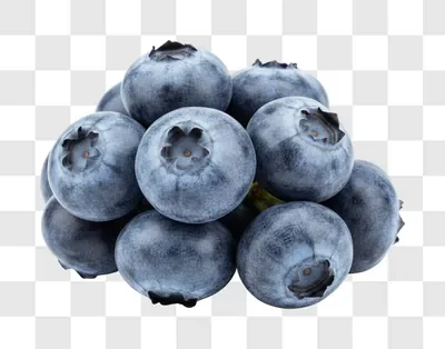 a pile of fresh blueberries on a white background