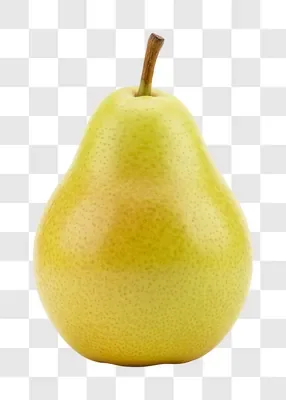 a single ripe green pear with a brown stem isolated on a white background