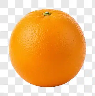 a single ripe orange fruit isolated on a white background