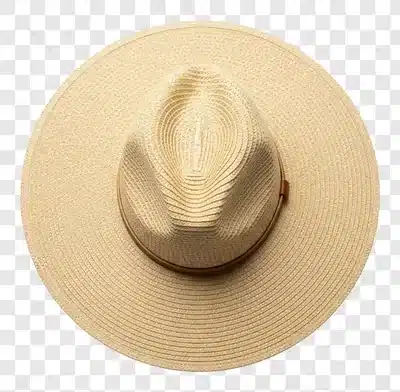 a stylish straw fedora hat with a wide brim and a brown band