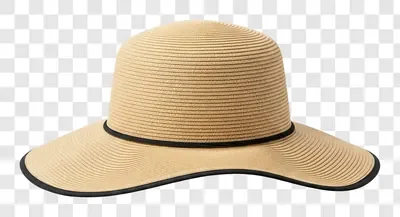 a stylish widebrimmed straw hat with a black ribbon accent
