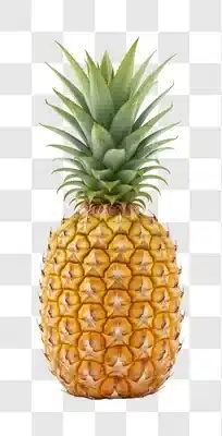 a whole ripe pineapple with green leaves on top isolated on white background edited edited