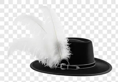 black cavalier hat with white feathers