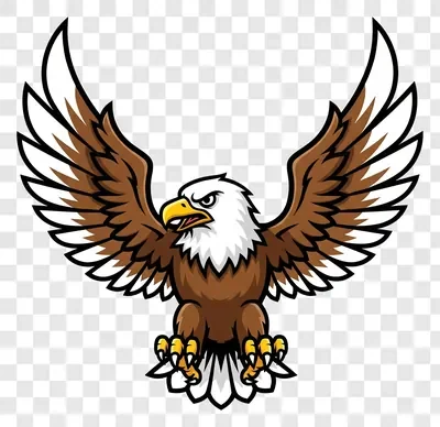 majestic bald eagle with wings spread wide in aggressive pose