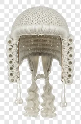 traditional barrister wig for legal professionals