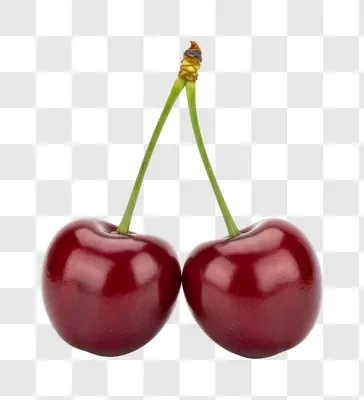 two ripe cherries with stems on white background