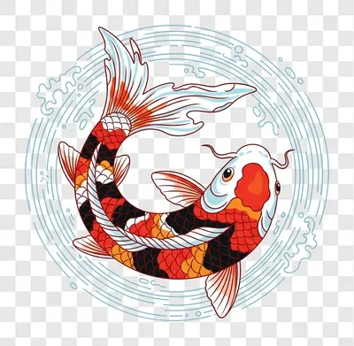vibrant koi fish swimming in circular water pattern
