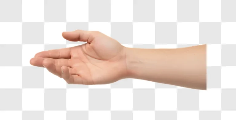 adult hand open palm up edited