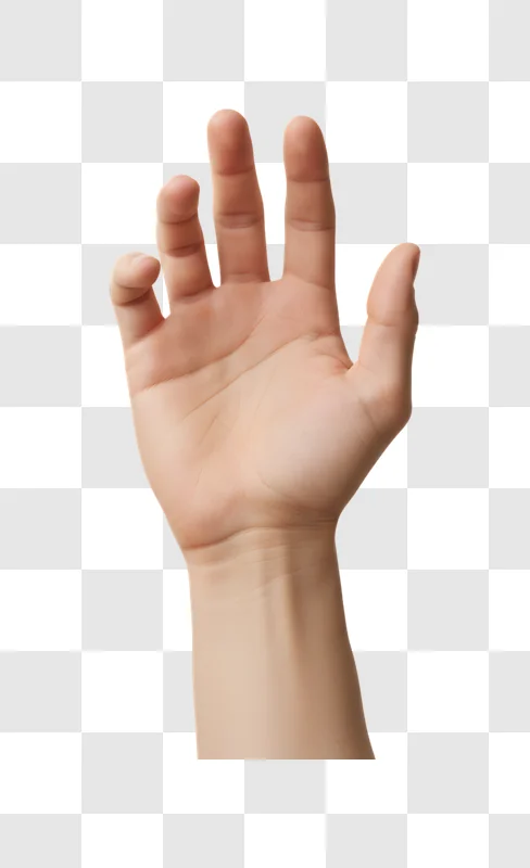 close up of a human hand with fingers slightly curled edited