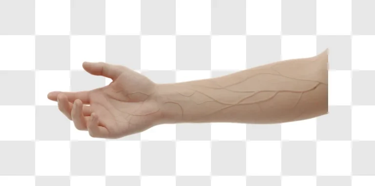 closeup of a human forearm with visible veins and a hand in the foreground edited