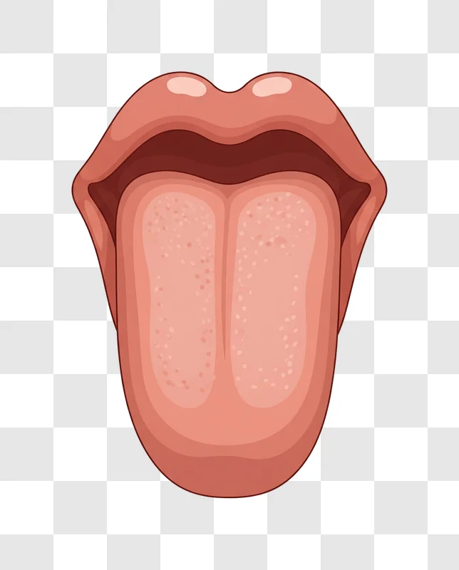 human mouth and tongue illustration edited