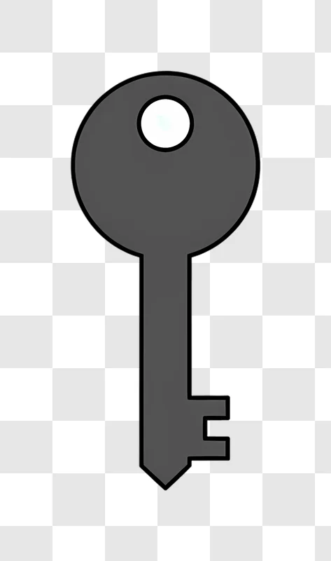 simple gray key icon isolated edited