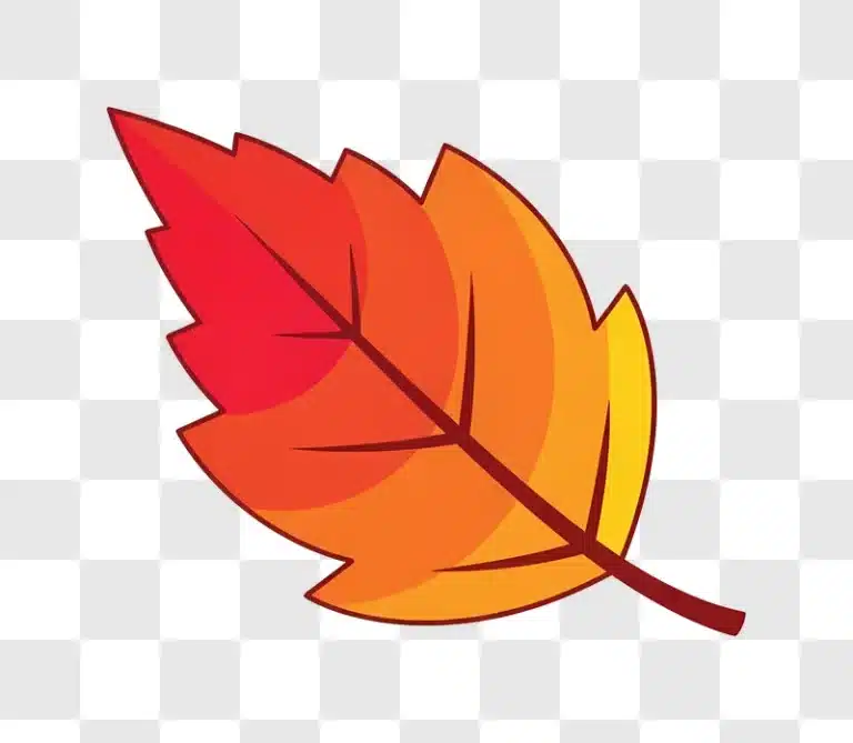 colorful cartoon autumn leaf illustration edited