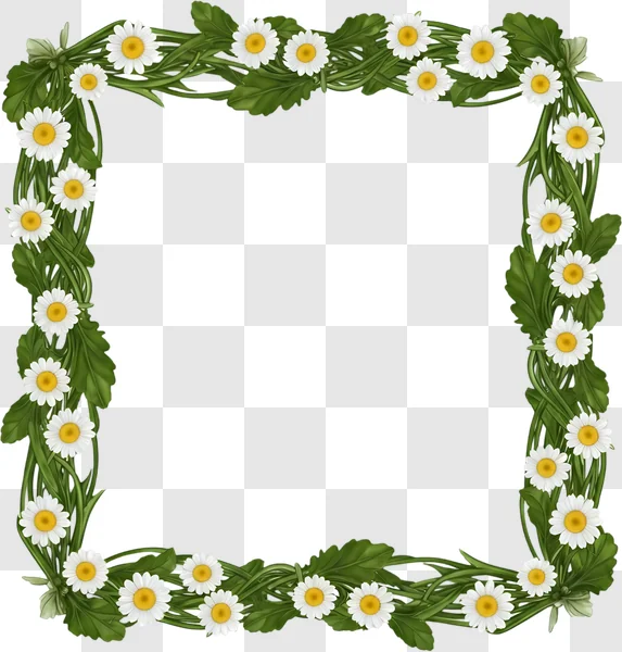 decorative daisy flower vine frame graphic edited