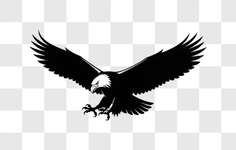 eagle silhouette flying with wings spread edited