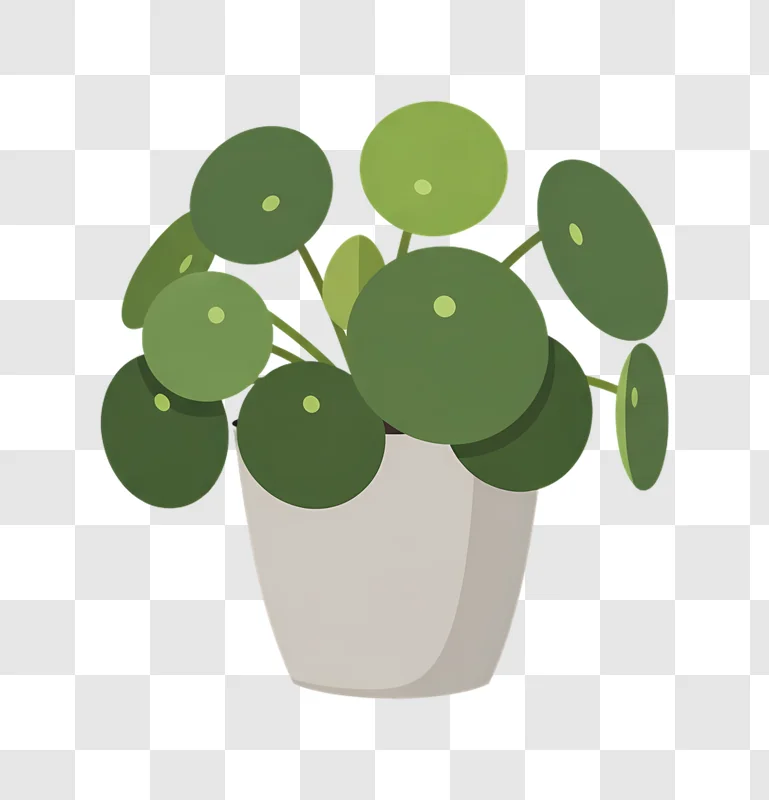 flat design chinese money plant in gray pot edited
