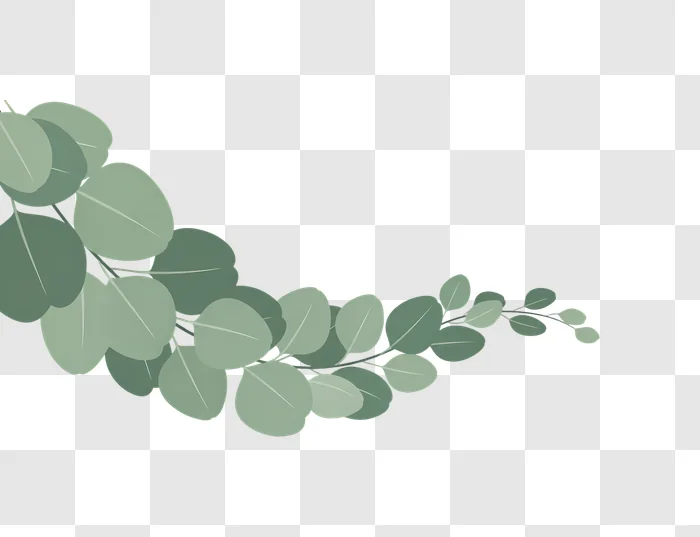 green eucalyptus branch decorative corner edited