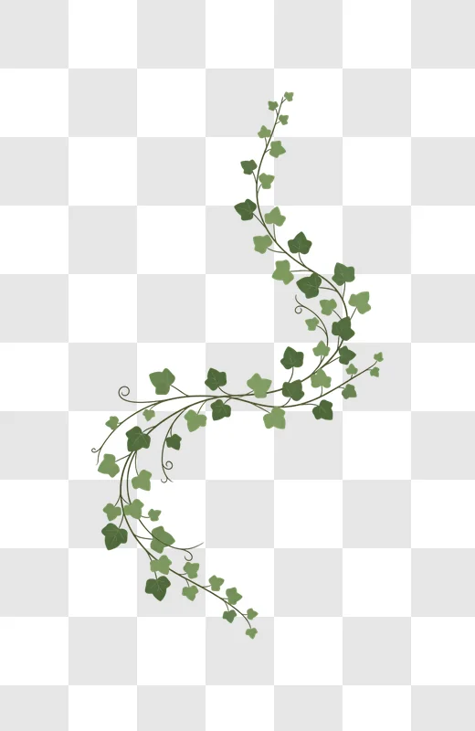 green ivy vine climbing corner decoration edited