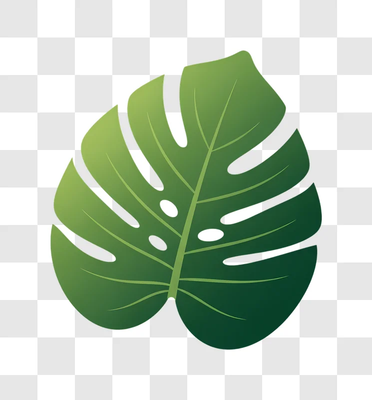 illustrative green monstera leaf transparent background edited