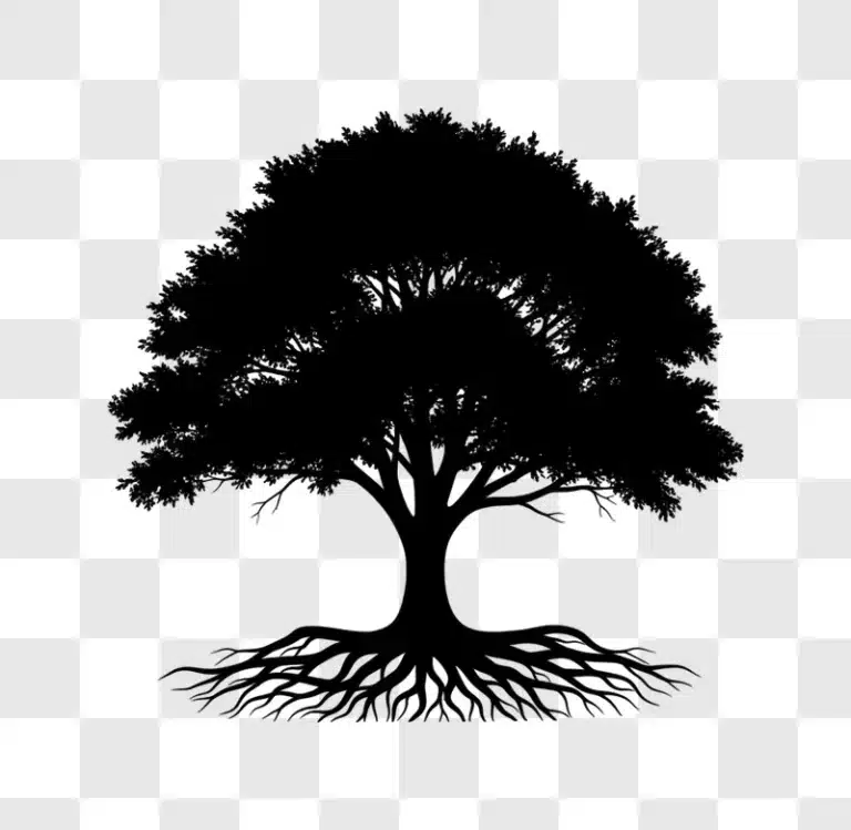 minimalist tree line art with roots edited