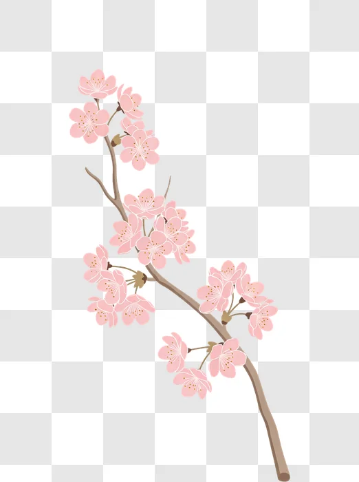 pink cherry blossom branch illustration edited