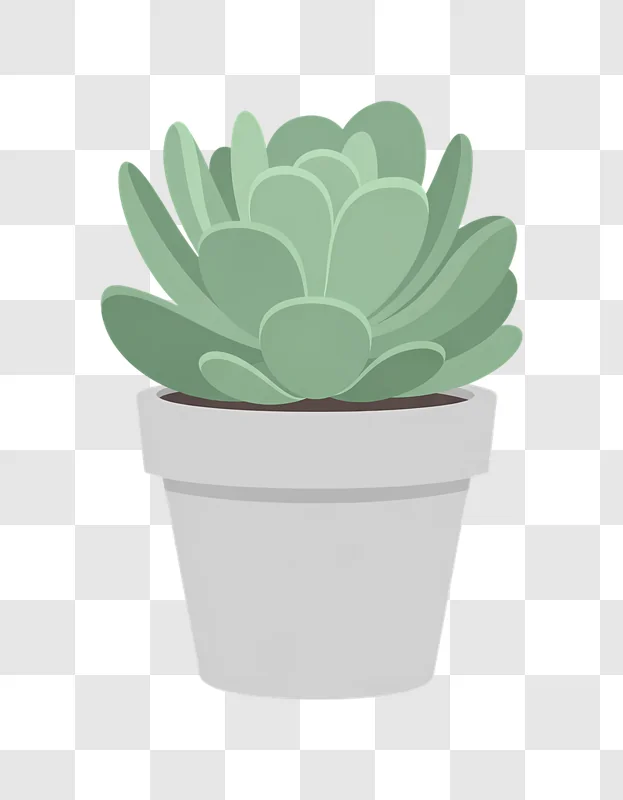 potted green succulent plant illustration edited