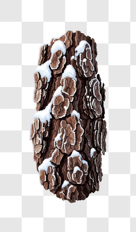 rough tree bark with snow patches edited