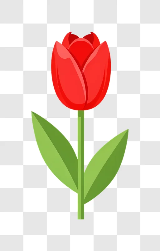 single red tulip flower cartoon edited