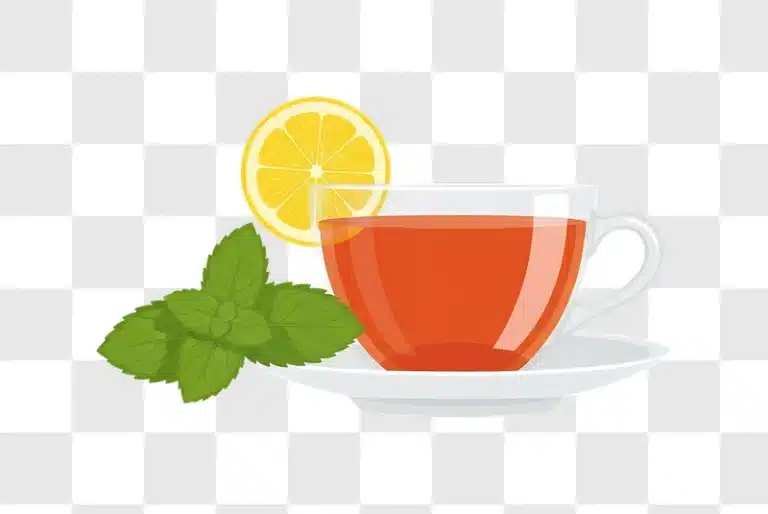 tea cup illustration with lemon and mint edited