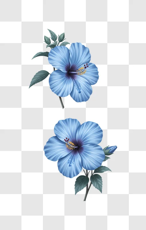 two blue hibiscus flowers with green leaves edited