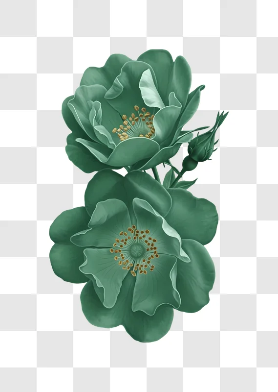 vibrant teal roses and bud illustration edited