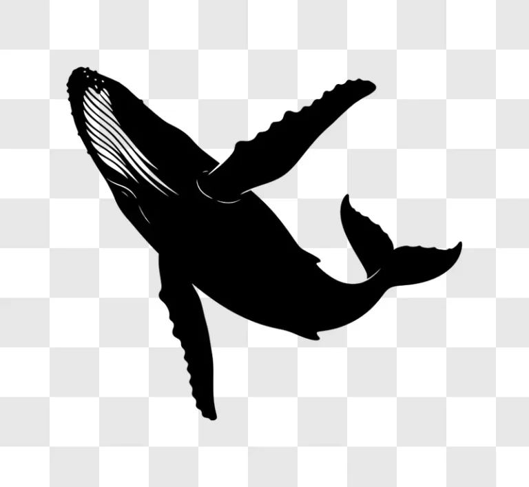 white outline humpback whale edited